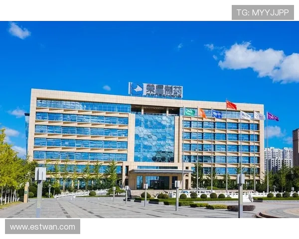 凯发集团官网安卓版下载的安全性分析，保障玩家个人信息和资金安全的详细说明